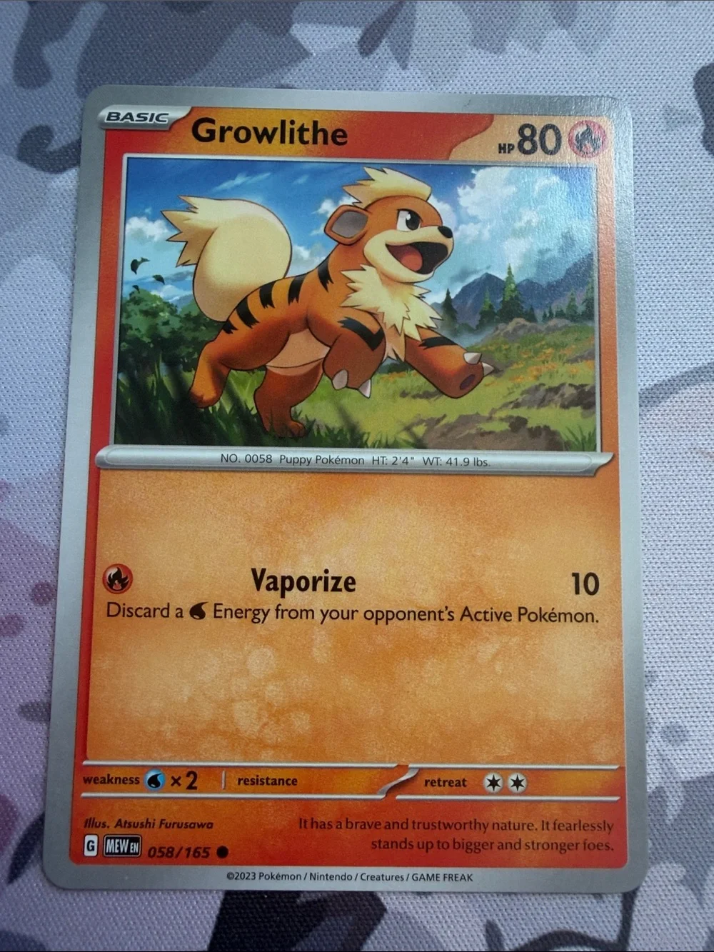 Pokemon mix match
